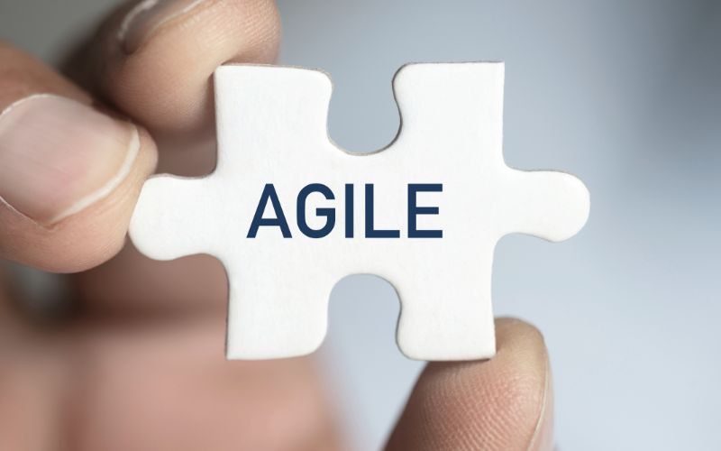 Agile Grundlagen I: Warum agil?